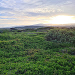 Photo n°6 de l'avis de João.o fait le 20/06/2023 à 09:54 sur le  Camping Nurapolis à Narbolia