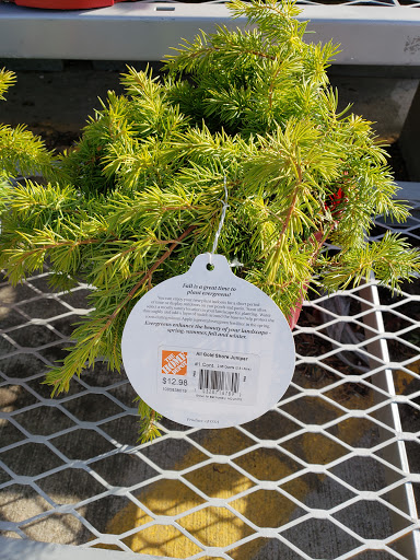 Home Improvement Store «The Home Depot», reviews and photos, 2075 Pipestone Rd, Benton Harbor, MI 49022, USA