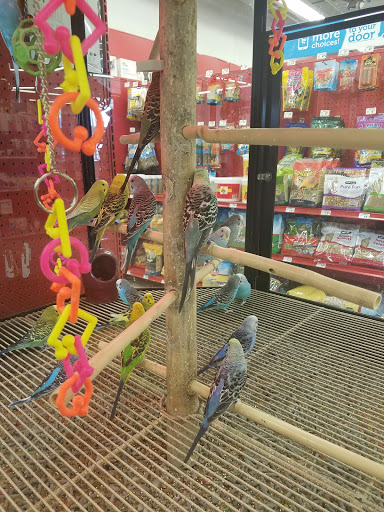 Shopping Mall «Pavilion Shopping Center», reviews and photos, 24055 Chagrin Blvd, Beachwood, OH 44122, USA