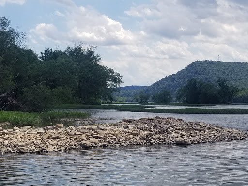 Ferry Service «Millersburg Ferry», reviews and photos, River St, Millersburg, PA 17061, USA