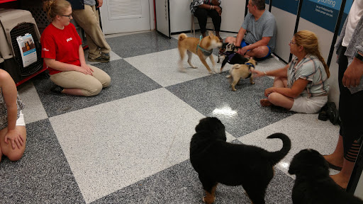 Pet Supply Store «Petco Animal Supplies», reviews and photos, 10060 US Highway 40 G-150, Ellicott City, MD 21042, USA