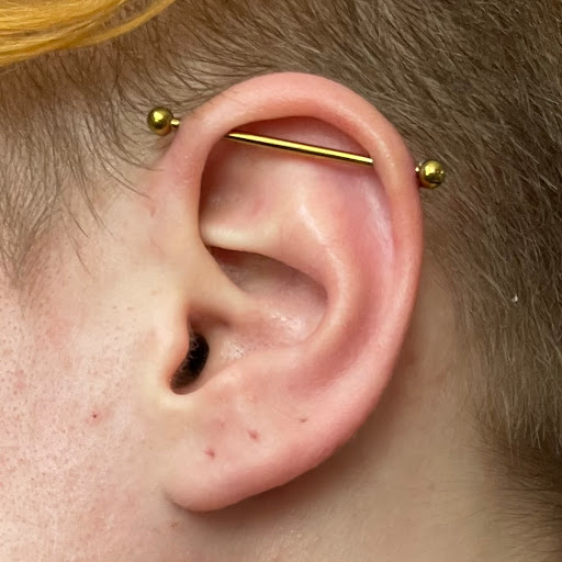 Explore shading ideas for sleeve tattoos, creative tattoo ideas in Northampton, available at Luckys Tattoo and Piercing