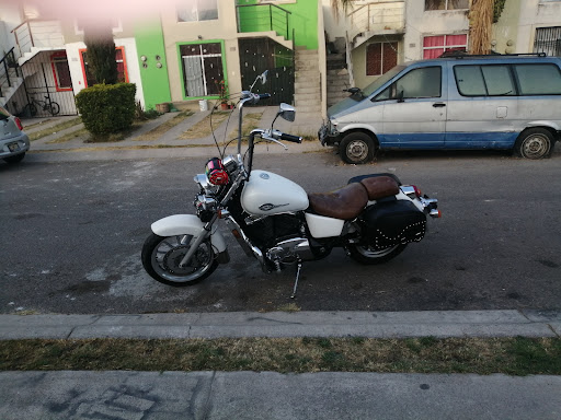 La Ratonera Rat's biker gdl
