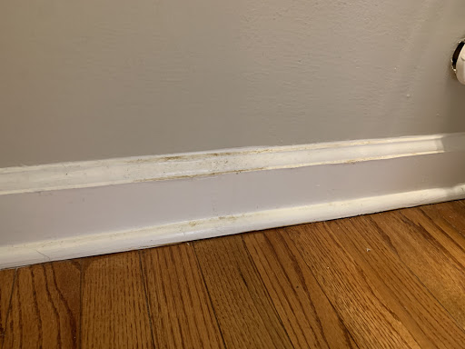 House Cleaning Service «Two Maids & A Mop», reviews and photos, 3440 St Vardell Ln d, Charlotte, NC 28217, USA