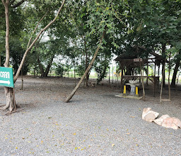 Wat Senanon photo