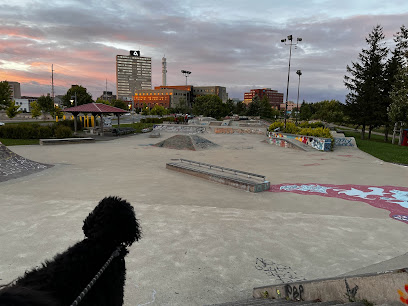 Downtown Skate Park