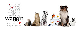 Tails A Wagg'n Pet Resort & Dog Daycare - Photo 1 - Car repair in Cedar Rapids, IA, Cedar Rapids