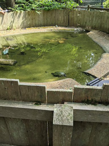 Tourist Information Center «Woodlands Nature Station», reviews and photos, 3146 Silver Trail Rd, Cadiz, KY 42211, USA