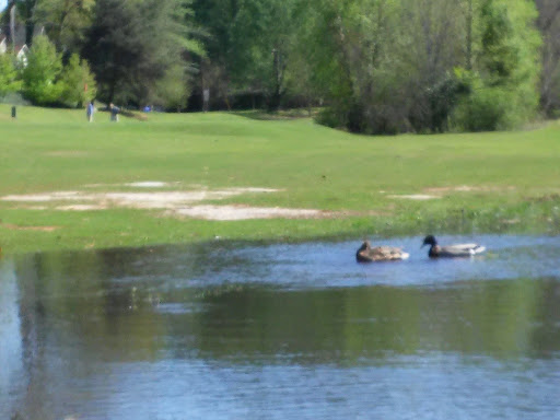 Public Golf Course «Candler Park Golf Course», reviews and photos, 585 Candler Park Dr NE, Atlanta, GA 30307, USA