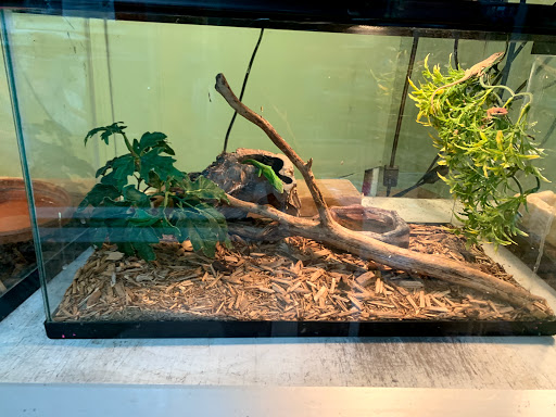 Pet Store «Southside Pet Shop», reviews and photos, 7031 Southside Dr, Louisville, KY 40214, USA