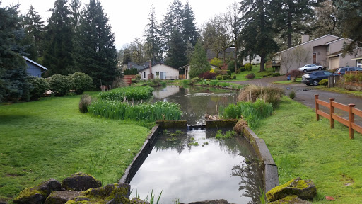 Park «Risley Park», reviews and photos, 2350 SE Swain Ave, Milwaukie, OR 97267, USA