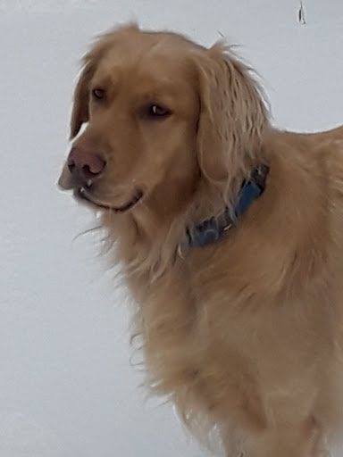 Pet Supply Store «Pet Supplies Plus», reviews and photos, 625 Southern Artery, Quincy, MA 02169, USA