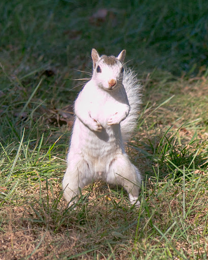 College «Brevard College», reviews and photos