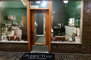 Sugar Tree Hair Salon image