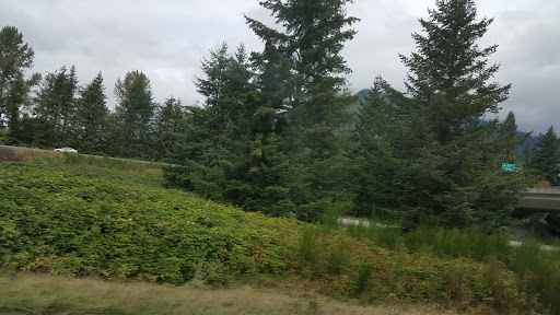 Golf Course «Cascade Golf Course», reviews and photos, 14319 436th Ave SE, North Bend, WA 98045, USA