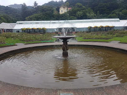 Wellington Botanic Garden Duck Pond