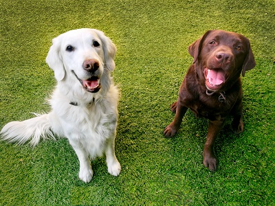 NaturalWil - Arroyomolinos