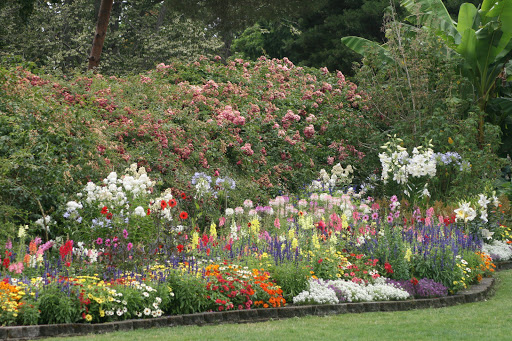 Shopping Mall «Olympic Village», reviews and photos, 5500 Olympic Dr NW, Gig Harbor, WA 98335, USA