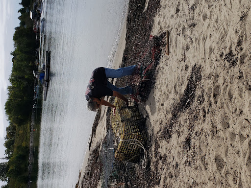 Nature Preserve «Johnson Field Preserve at Mackerel Cove», reviews and photos, 25 Abner Point Rd, Bailey Island, ME 04003, USA