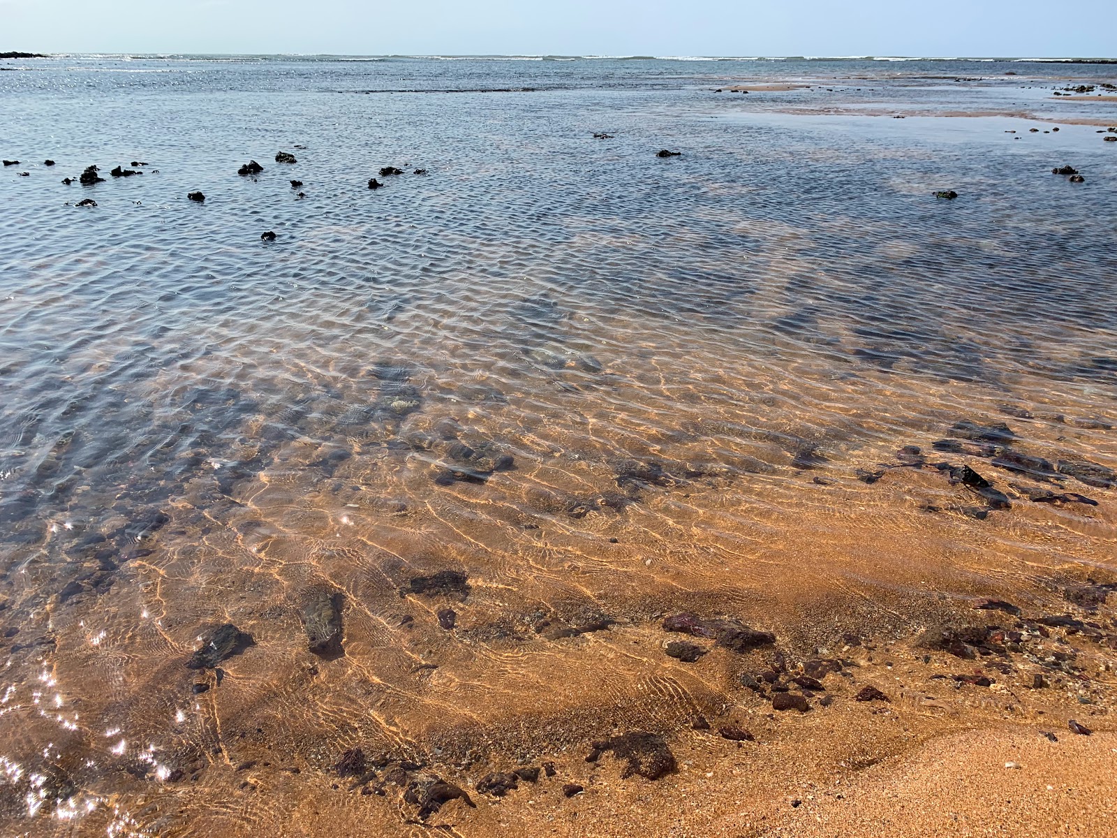 Photo de Praia de Marte zone sauvage