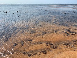 Photo de Praia de Marte zone sauvage