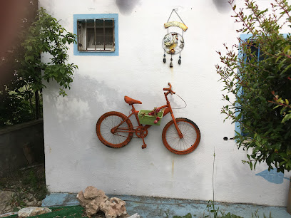 Kusadasi Bike Rental - Bisiklet Kiralama