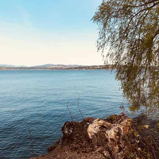 Park «Madrona Park», reviews and photos, 853 Lake Washington Blvd, Seattle, WA 98122, USA