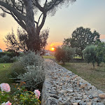 Photo n°6 de l'avis de Rachel.a fait le 02/07/2023 à 12:44 sur le  Masseria Grofoleo à Locorotondo