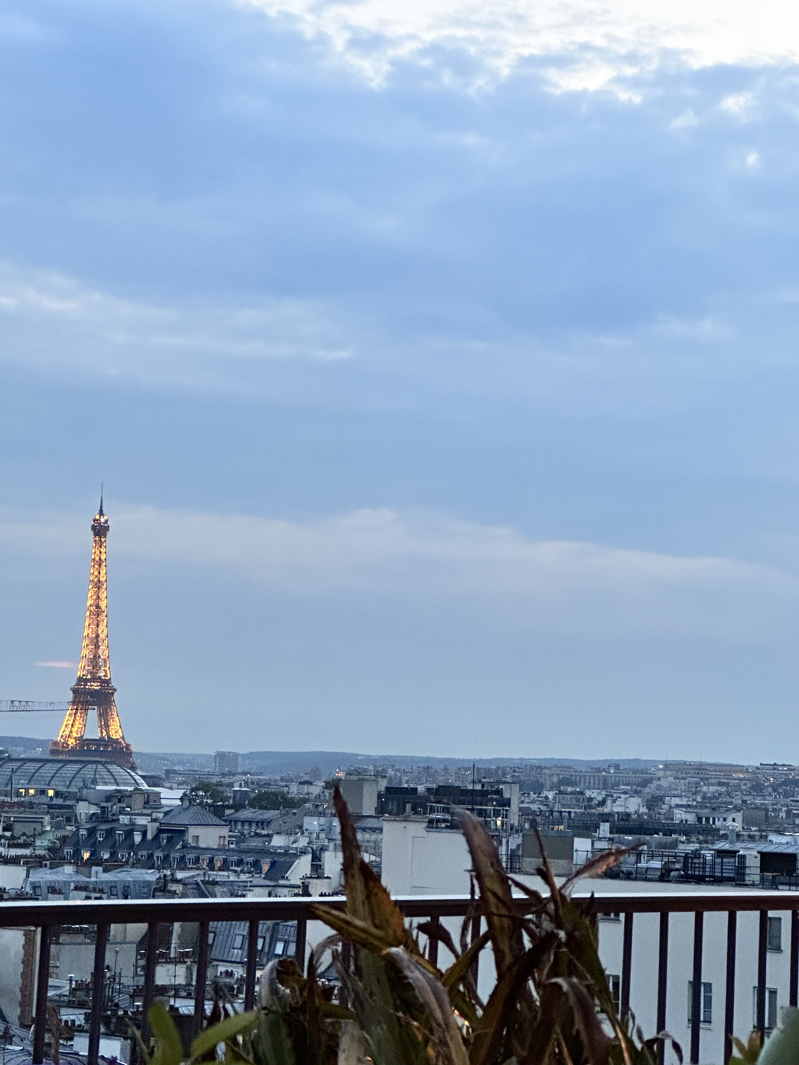 Photo n° 2 de l'avis de samia.a fait le 17/09/2023 à 14:34