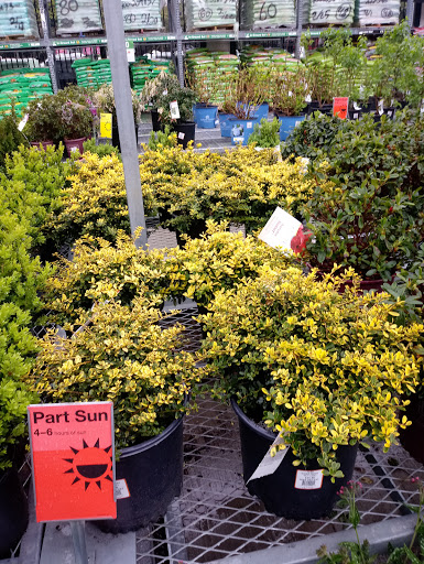 Home Improvement Store «The Home Depot», reviews and photos, 267 Alwington Blvd, Warrenton, VA 20186, USA