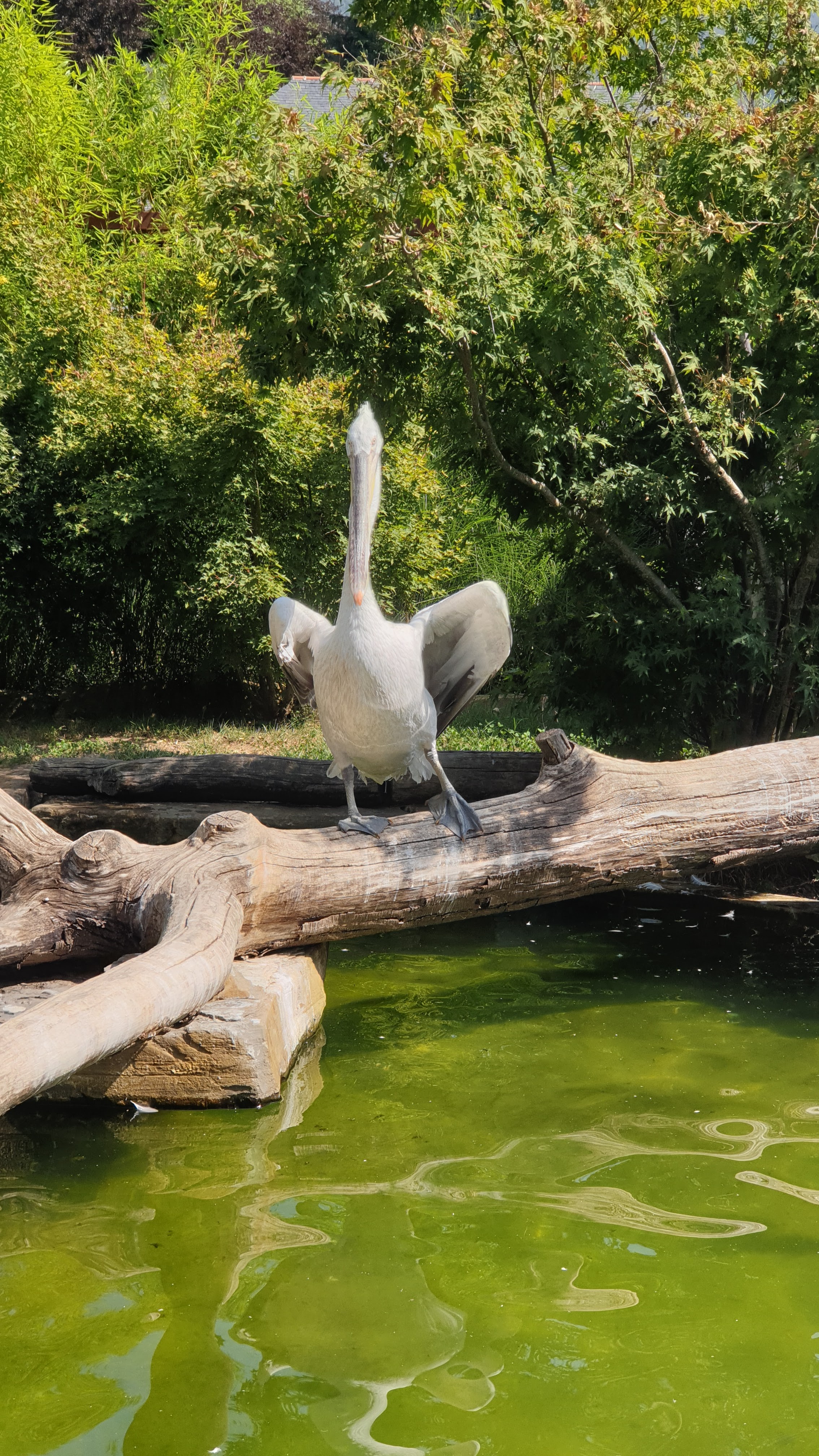 Photo n° 19 de l'avis de frédéric.e fait le 21/07/2022 à 14:28
