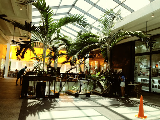 Shopping Mall «Bal Harbour Shops», reviews and photos, 9700 Collins Ave, Bal Harbour, FL 33154, USA