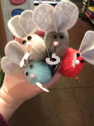 Pet Supply Store «Green Pet Supply», reviews and photos, 315 N Bishop Ave, Dallas, TX 75208, USA