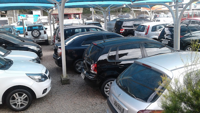 Rodovia Francisco, Servidao Ver Murilo Magno Vieira, 2447 - Rio Tavares, Florianópolis - SC, 88063-700, Brasil