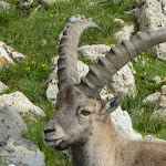 Photo n° 18 de l'avis de Fabien.o fait le 17/12/2018 à 08:24 pour Parc national de la Vanoise à Vanoise
