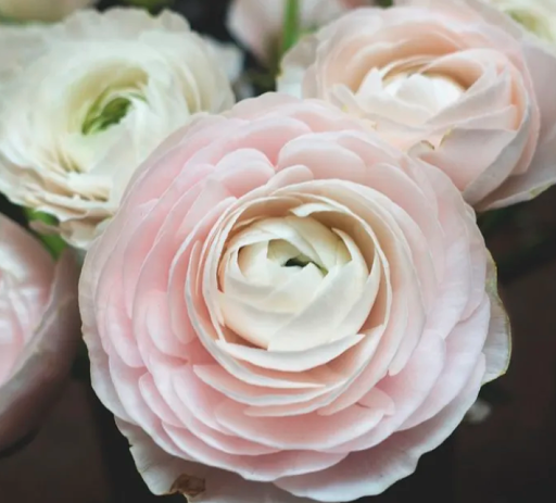 Funeral Home «George G Fitzpatrick Funeral», reviews and photos, 1500 Old York Rd, Abington, PA 19001, USA