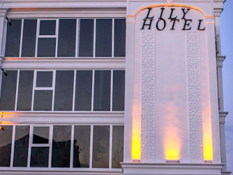 lily airport hotel