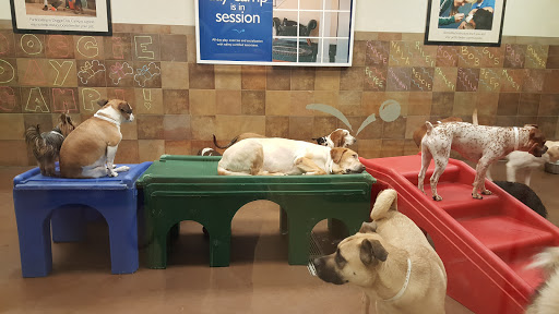 Pet Supply Store «PetSmart», reviews and photos, 220 Commerce Blvd, Fairless Hills, PA 19030, USA