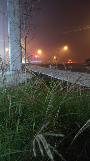 Gas Station «Chevron», reviews and photos, 993 Lawson Ave, Woodburn, OR 97071, USA