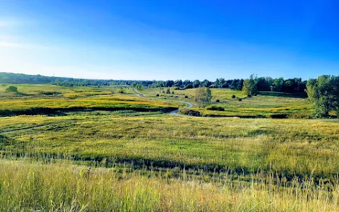Willow Spring Open Space image