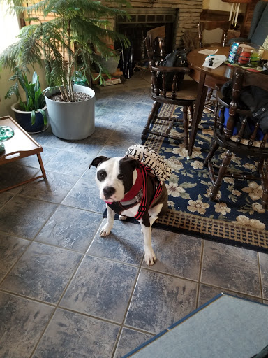 Pet Boarding Service «Green Acres Kennel Shop», reviews and photos, 1653 Union St, Bangor, ME 04401, USA