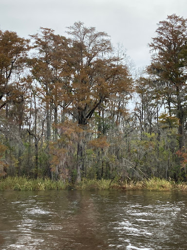 Cruise Agency «Cape Fear Riverboats», reviews and photos, 101 S Water St #1, Wilmington, NC 28401, USA