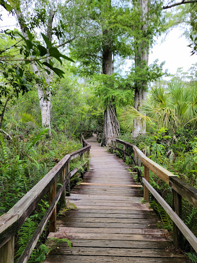 Big Cypress Bend Boardwalk