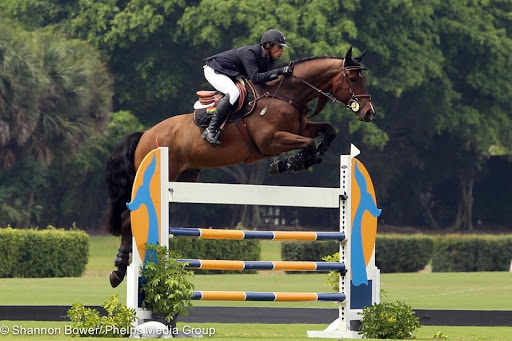 Horse Riding School «Horseng Farm LLC», reviews and photos, 6475 Warden Rd, New Tripoli, PA 18066, USA