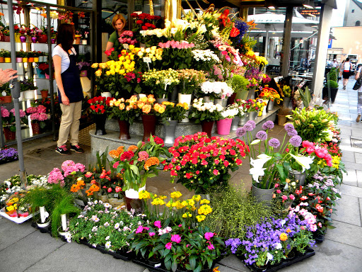 Florist courses online Donetsk