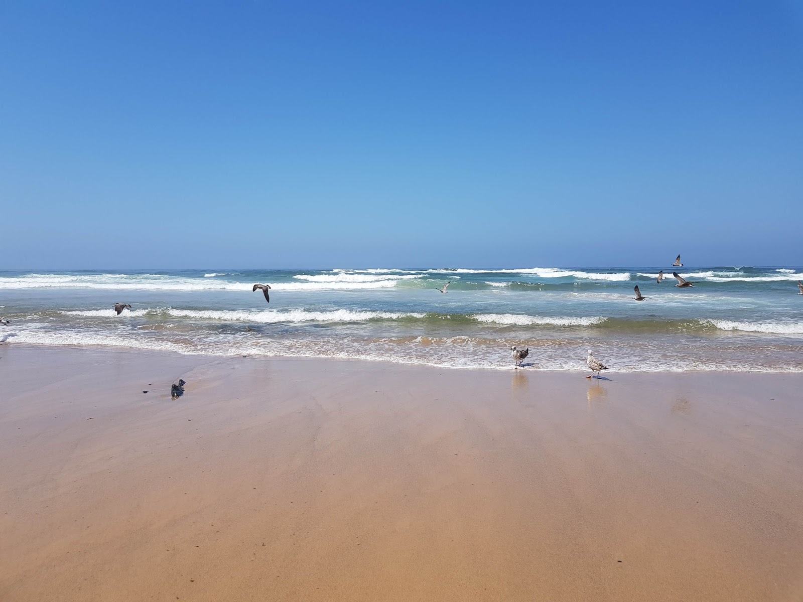 Photo de Vale Figueiras Beach avec l'eau cristalline de surface