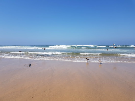 Vale Figueiras Beach