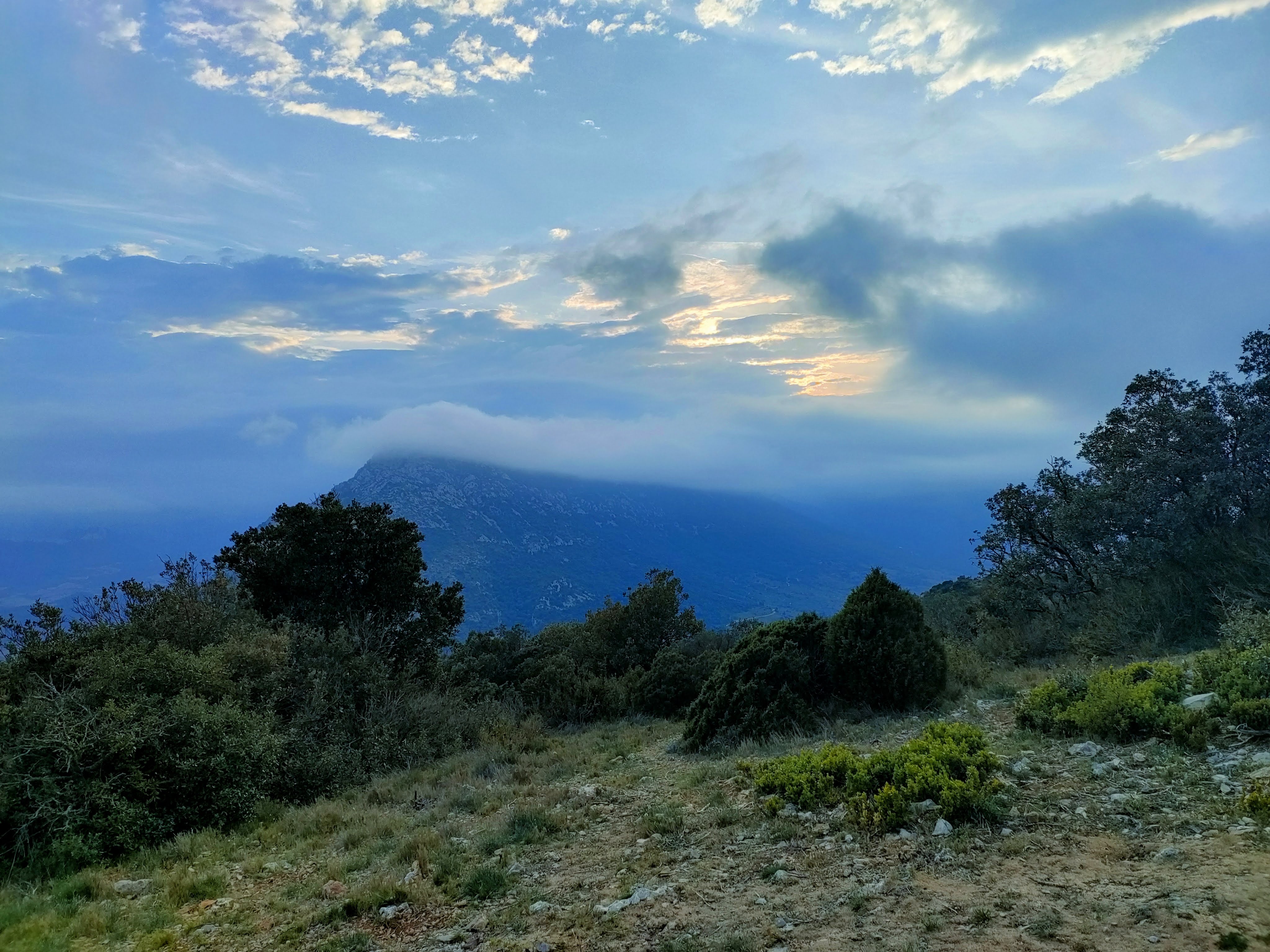 Photo n° 1 de l'avis de dacirus.u fait le 01/05/2023 à 05:42