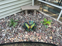 Dreams Come True Landscaping - Photo 4 - Car repair in , Raleigh