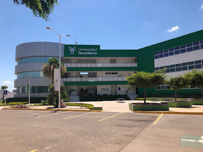 Universidad Tecmilenio (Campus Los Mochis)